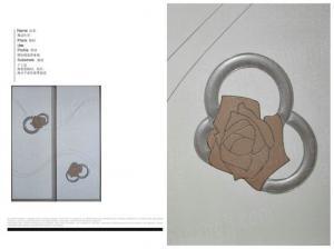 芬迪衣柜移動(dòng)門案例 6